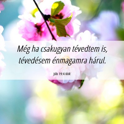 Picture 06 - Jób 19:4 KAR - Még ha csakugyan tévedtem is, tévedésem - Bible Verse Picture