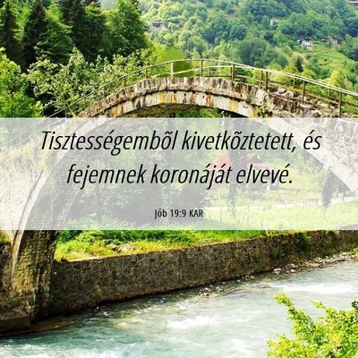 Picture 06 - Jób 19:9 KAR - Tisztességembõl kivetkõztetett, és fejemnek - Bible Verse Picture