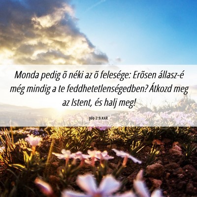 Picture 06 - Jób 2:9 KAR - Monda pedig õ néki az õ felesége: Erõsen - Bible Verse Picture