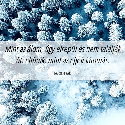 Picture 06 - Jób 20:8 KAR - Mint az álom, úgy elrepül és nem találják - Bible Verse Picture