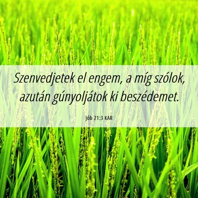 Picture 06 - Jób 21:3 KAR - Szenvedjetek el engem, a míg szólok, azután - Bible Verse Picture