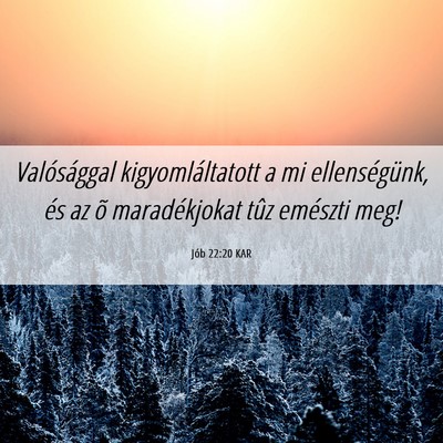 Picture 06 - Jób 22:20 KAR - Valósággal kigyomláltatott a mi ellenségünk, - Bible Verse Picture