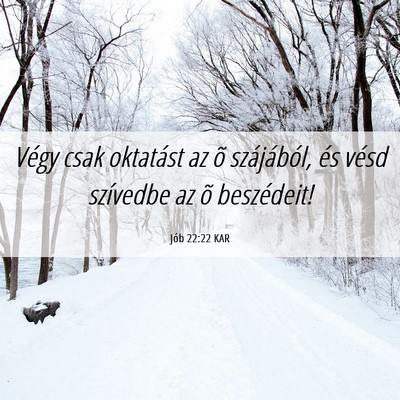 Picture 06 - Jób 22:22 KAR - Végy csak oktatást az õ szájából, és vésd - Bible Verse Picture