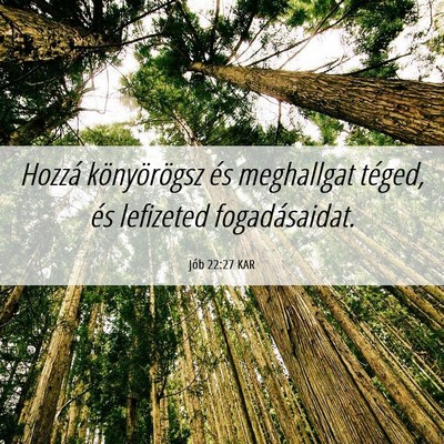 Picture 06 - Jób 22:27 KAR - Hozzá könyörögsz és meghallgat téged, és - Bible Verse Picture