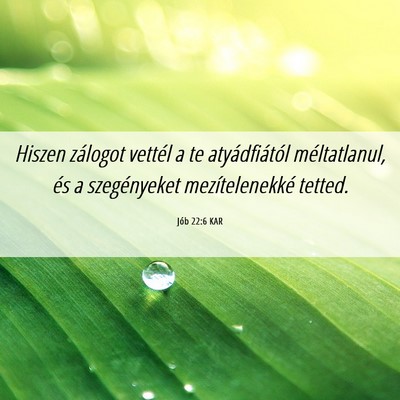 Picture 06 - Jób 22:6 KAR - Hiszen zálogot vettél a te atyádfiától - Bible Verse Picture