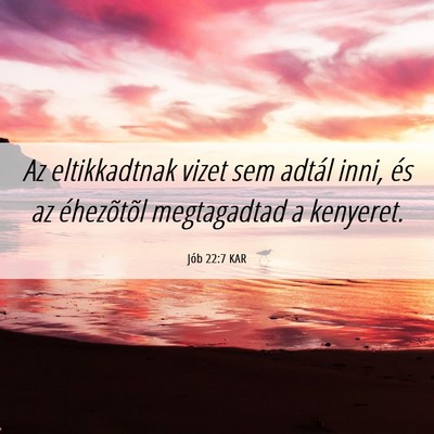 Picture 06 - Jób 22:7 KAR - Az eltikkadtnak vizet sem adtál inni, és az - Bible Verse Picture