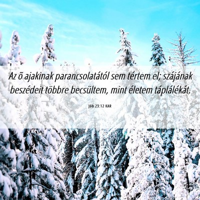 Picture 06 - Jób 23:12 KAR - Az õ ajakinak parancsolatától sem tértem el; - Bible Verse Picture