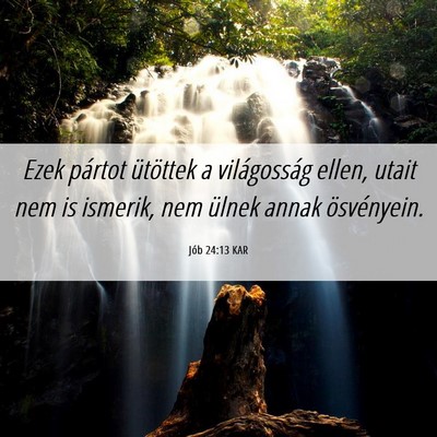Picture 06 - Jób 24:13 KAR - Ezek pártot ütöttek a világosság ellen, - Bible Verse Picture