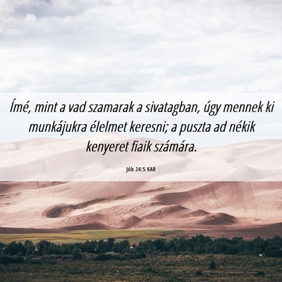 Picture 06 - Jób 24:5 KAR - Ímé, mint a vad szamarak a sivatagban, úgy - Bible Verse Picture