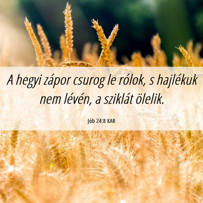 Picture 06 - Jób 24:8 KAR - A hegyi zápor csurog le rólok, s hajlékuk nem - Bible Verse Picture