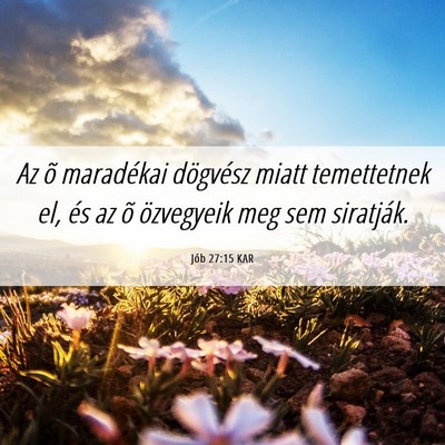 Picture 06 - Jób 27:15 KAR - Az õ maradékai dögvész miatt temettetnek el, - Bible Verse Picture