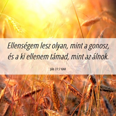 Picture 06 - Jób 27:7 KAR - Ellenségem lesz olyan, mint a gonosz, és a ki - Bible Verse Picture