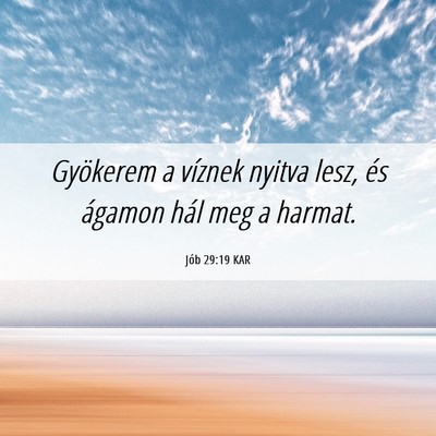 Picture 06 - Jób 29:19 KAR - Gyökerem a víznek nyitva lesz, és ágamon hál - Bible Verse Picture