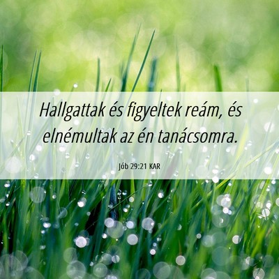 Picture 06 - Jób 29:21 KAR - Hallgattak és figyeltek reám, és elnémultak - Bible Verse Picture