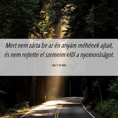 Picture 06 - Jób 3:10 KAR - Mert nem zárta be az én anyám méhének - Bible Verse Picture