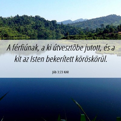 Picture 06 - Jób 3:23 KAR - A férfiúnak, a ki útvesztõbe jutott, és a - Bible Verse Picture