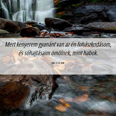 Picture 06 - Jób 3:24 KAR - Mert kenyerem gyanánt van az én - Bible Verse Picture