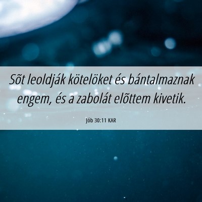 Picture 06 - Jób 30:11 KAR - Sõt leoldják kötelöket és bántalmaznak - Bible Verse Picture