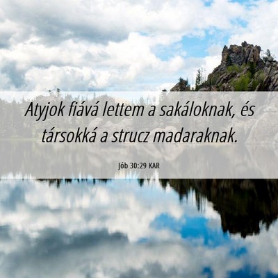 Picture 06 - Jób 30:29 KAR - Atyjok fiává lettem a sakáloknak, és - Bible Verse Picture