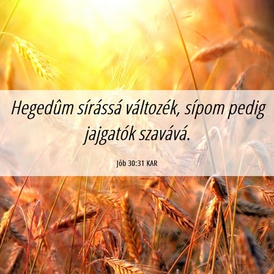 Picture 06 - Jób 30:31 KAR - Hegedûm sírássá változék, sípom pedig - Bible Verse Picture