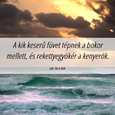Picture 06 - Jób 30:4 KAR - A kik keserû füvet tépnek a bokor mellett, és - Bible Verse Picture