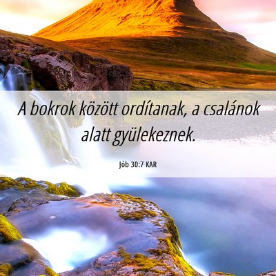 Picture 06 - Jób 30:7 KAR - A bokrok között ordítanak, a csalánok alatt - Bible Verse Picture
