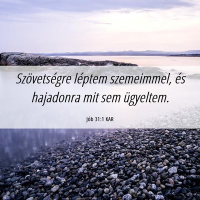 Picture 06 - Jób 31:1 KAR - Szövetségre léptem szemeimmel, és hajadonra - Bible Verse Picture