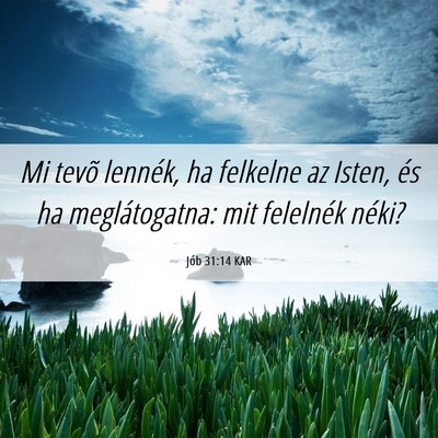 Picture 06 - Jób 31:14 KAR - Mi tevõ lennék, ha felkelne az Isten, és ha - Bible Verse Picture