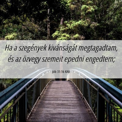 Picture 06 - Jób 31:16 KAR - Ha a szegények kivánságát megtagadtam, és az - Bible Verse Picture