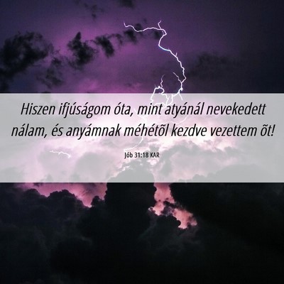 Picture 06 - Jób 31:18 KAR - Hiszen ifjúságom óta, mint atyánál - Bible Verse Picture