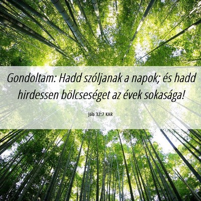 Picture 06 - Jób 32:7 KAR - Gondoltam: Hadd szóljanak a napok; és hadd - Bible Verse Picture