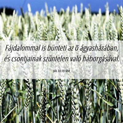 Picture 06 - Jób 33:19 KAR - Fájdalommal is bünteti az õ ágyasházában, - Bible Verse Picture