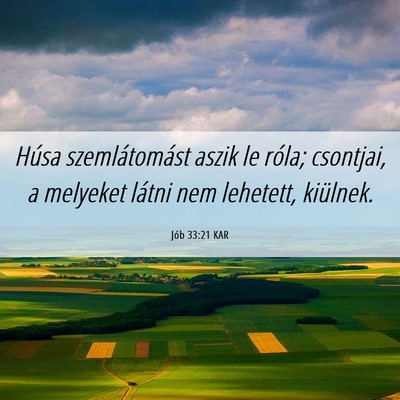 Picture 06 - Jób 33:21 KAR - Húsa szemlátomást aszik le róla; csontjai, a - Bible Verse Picture