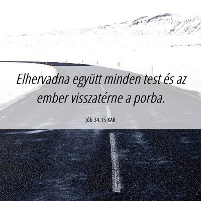 Picture 06 - Jób 34:15 KAR - Elhervadna együtt minden test és az ember - Bible Verse Picture