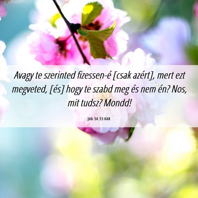 Picture 06 - Jób 34:33 KAR - Avagy te szerinted fizessen-é [csak azért], - Bible Verse Picture
