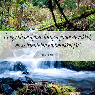 Picture 06 - Jób 34:8 KAR - És egy társaságban forog a gonosztevõkkel, - Bible Verse Picture