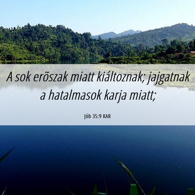 Picture 06 - Jób 35:9 KAR - A sok erõszak miatt kiáltoznak; jajgatnak a - Bible Verse Picture