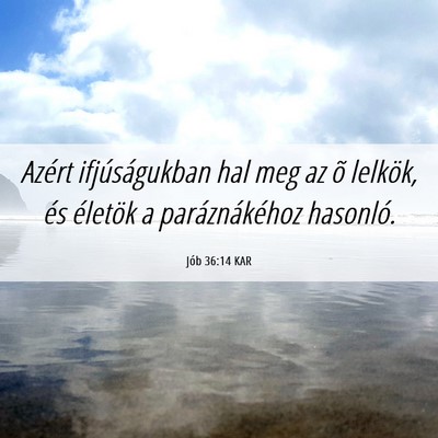 Picture 06 - Jób 36:14 KAR - Azért ifjúságukban hal meg az õ lelkök, és - Bible Verse Picture