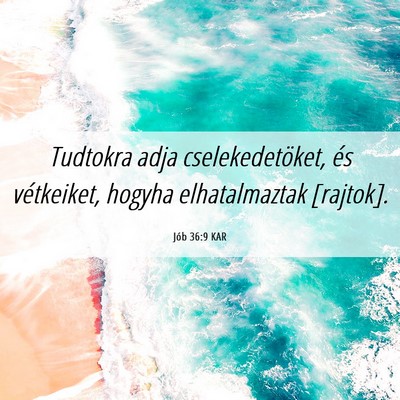 Picture 06 - Jób 36:9 KAR - Tudtokra adja cselekedetöket, és vétkeiket, - Bible Verse Picture