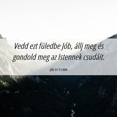 Picture 06 - Jób 37:13 KAR - Vedd ezt füledbe Jób, állj meg és gondold meg - Bible Verse Picture