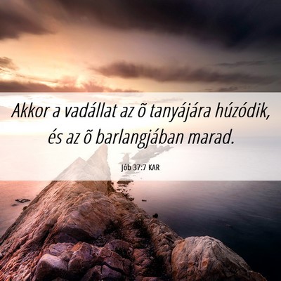 Picture 06 - Jób 37:7 KAR - Akkor a vadállat az õ tanyájára húzódik, - Bible Verse Picture