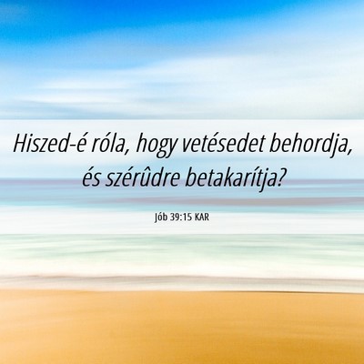 Picture 06 - Jób 39:15 KAR - Hiszed-é róla, hogy vetésedet behordja, és - Bible Verse Picture