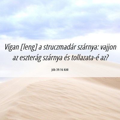 Picture 06 - Jób 39:16 KAR - Vígan [leng] a struczmadár szárnya: vajjon az - Bible Verse Picture
