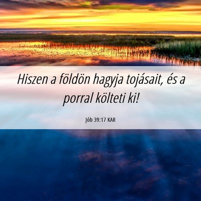 Picture 06 - Jób 39:17 KAR - Hiszen a földön hagyja tojásait, és a porral - Bible Verse Picture