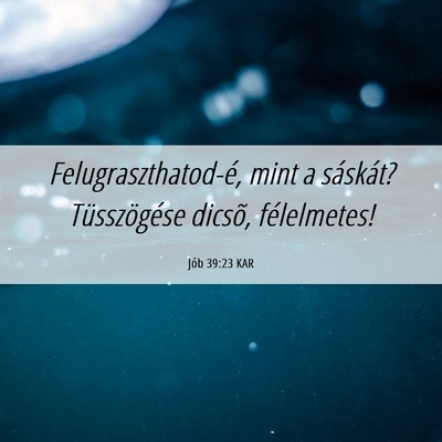 Picture 06 - Jób 39:23 KAR - Felugraszthatod-é, mint a sáskát? - Bible Verse Picture