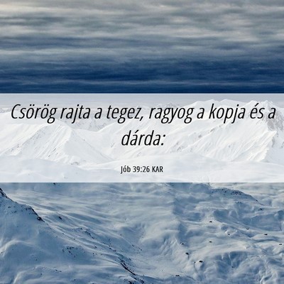 Picture 06 - Jób 39:26 KAR - Csörög rajta a tegez, ragyog a kopja és a - Bible Verse Picture