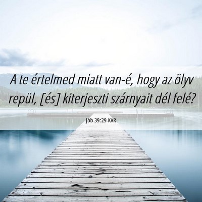 Picture 06 - Jób 39:29 KAR - A te értelmed miatt van-é, hogy az ölyv - Bible Verse Picture