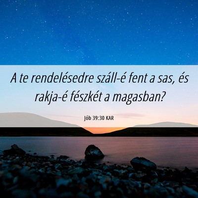 Picture 06 - Jób 39:30 KAR - A te rendelésedre száll-é fent a sas, és - Bible Verse Picture