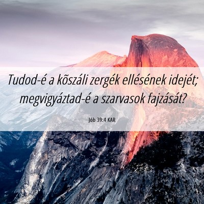 Picture 06 - Jób 39:4 KAR - Tudod-é a kõszáli zergék ellésének idejét; - Bible Verse Picture