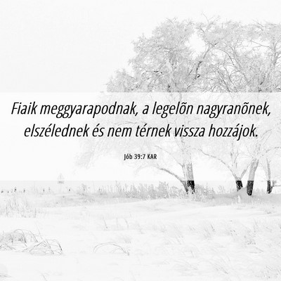Picture 06 - Jób 39:7 KAR - Fiaik meggyarapodnak, a legelõn nagyranõnek, - Bible Verse Picture